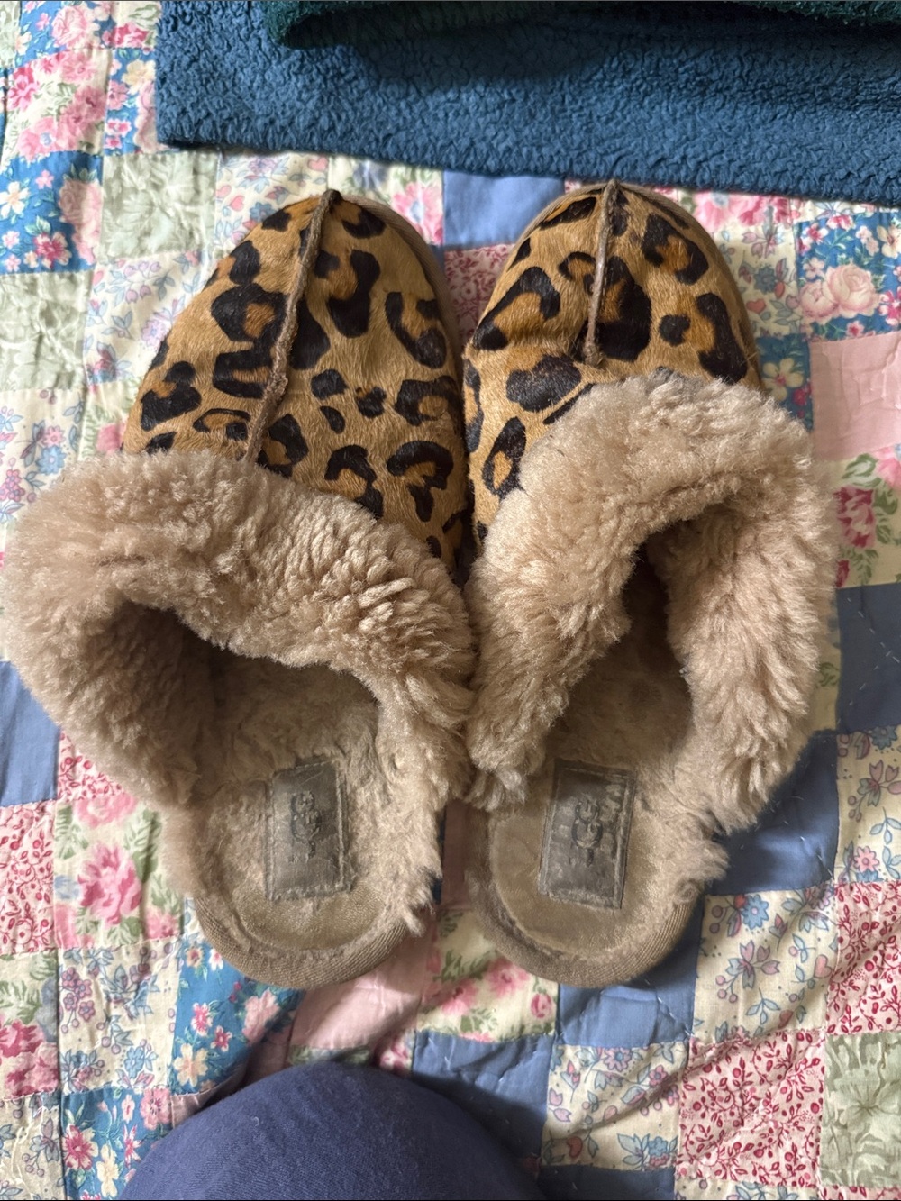 UGG Leopard Print Shearling Slippers in Tan and Black